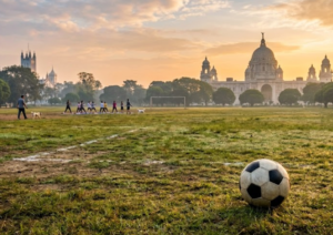 The image shows a football in a field.